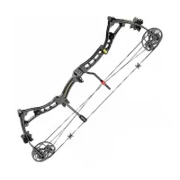 Bow Poe Lang Axis 30-70 LBS Black (C0-039B)