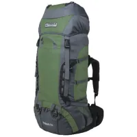 Tourist backpack Terra Incognita Rango 55 green / gray (4823081500360)