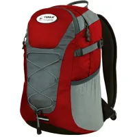 Tourist backpack Terra Incognita Link 16 red / gray (4823081503965)