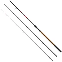 Rod Brain Classic 3.60m max 250g (1858.43.92)