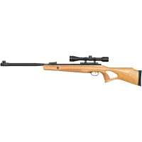Air rifle Beeman Polar Bear GR, OP 4x32 (10620GP)