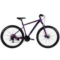 Bicycle Discovery 29" TREK DD frame-19" ST 2025 purple (OPS-SP-29-078)