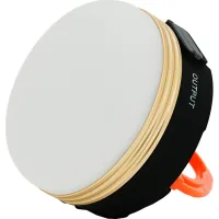 Flashlight Voltronic Q5N