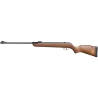 Air rifle Gamo BIG CAT HUNTER (6110088-BC)