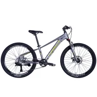 Bicycle Formula 24" ZEPHYR 3.0 DD CS frame-12" AL 2026 gray with green (OPS-FR-24-447)