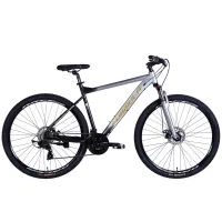 Bicycle Formula 29" F-1 DD CS frame-21" AL 2026 silver-black (OPS-FR-29-438)