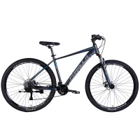 Bicycle Formula 29" ZEPHYR 3.0 DD CS frame-19" AL 2026 dark gray (OPS-FR-29-444)