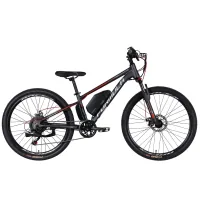 Electric bicycle Formula 26" eMOTION DD FR frame-13" 36B 10A*g 500W 2026 gray-silver (ELB-FR-26-152)