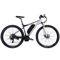 Electric bicycle Formula 29" eF-1 DD CS frame-18.5" 48B 12.5A*g 500W 2026 silver-black (ELB-FR-29-250)