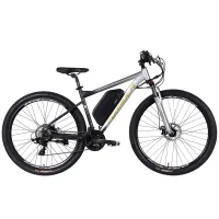 Electric bicycle Formula 29" eF-1 DD CS frame-18.5" 48B 17.5A*g 500W 2026 silver-black (ELB-FR-29-252)