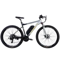 Electric bicycle Formula 29" eF-1 DD CS frame-21" 48B 12.5A*g 500W 2026 silver-black (ELB-FR-29-254)