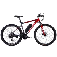 Electric bicycle Formula 29" eF-1 DD CS frame-21" 48B 12.5A*g 500W 2026 red-silver (ELB-FR-29-253)