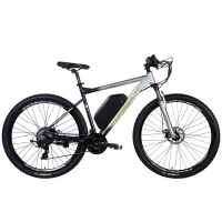 Electric bicycle Formula 29" eF-1 DD CS frame-21" 48B 17.5A*g 500W 2026 silver-black (ELB-FR-29-256)