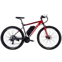 Electric bicycle Formula 29" eF-1 DD CS frame-21" 48B 17.5A*g 500W 2026 red-silver (ELB-FR-29-255)