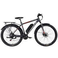 Electric bicycle Formula 29" eMOTION PLUS DD FR frame-19" 36B 12.5A*g 500W 2026 gray-silver (ELB-FR-29-258)