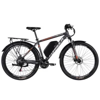 Electric bicycle Formula 29" eMOTION PLUS DD FR frame-19" 48B 15A*g 500W 2026 gray-silver (ELB-FR-29-261)
