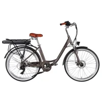 Електровелосипед Dorozhnik 26" eRUBY DD FR рама-17" 48B 15А*г 500Вт 2026 мокрий асфальт (ELB-D-26-303)