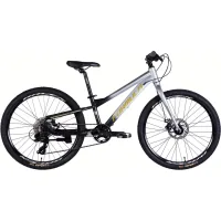 Bicycle Formula 24" F-1 DD frame-11" AL 2026 silver-black (OPS-FR-24-452)