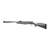 Пневматична гвинтівка Stoeger RX5 Synthetic Stock Grey Combo ОП 4х32 (A0710600)