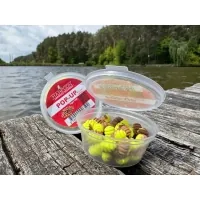 Boyle Harpoon Pop UP Seashell 10*6mm Tiger nut yellow-brown (2700000026502)