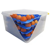 Egg container Araven 354 x 325 x 200 cm set of 5 items (70378)