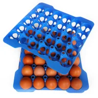 Egg container Araven 29 x 29 x 4 cm blue (73056)