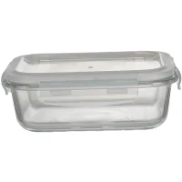 Харчовий контейнер Ecomo Thermo Box прямокутний 620 мл (3RC065-LL)