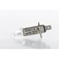 Bosch halogen car lamp 55W (1 987 302 801)