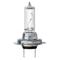 Bosch halogen car lamp 55W (1 987 302 804)