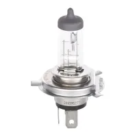 Bosch halogen car lamp 60/55W (1 987 302 803)