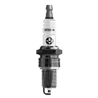 Spark plug Brisk N15C.1K