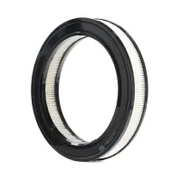 Champion car air filter CAF100103R