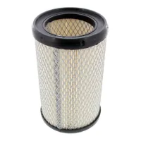 Champion CAF100434C car air filter