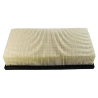 Champion CAF100572P car air filter