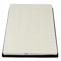 Champion CAF100689P car air filter