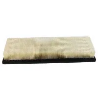 Champion CAF100737P car air filter