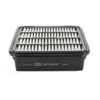 Champion CAF100829P car air filter