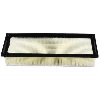 Champion CAF100859P car air filter