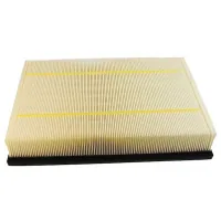 Champion CAF100872P car air filter