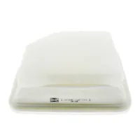 Champion CAF100874P car air filter