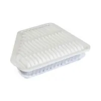 Champion CAF100877P car air filter