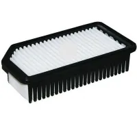 Champion CAF100879P car air filter