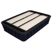Champion CAF100881P car air filter