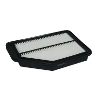 Champion CAF100925P car air filter