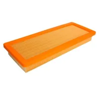 Champion CAF100929P car air filter