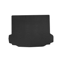Mat in the trunk EVAtech BMW X3 (G01) 2017+ 3 pack SUV EU (BM2764B1RBB)