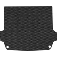 Mat in the trunk EVAtech BMW X4 (GO2) 2018+ 2 pcs SUV EU (BM1421B1RBB)