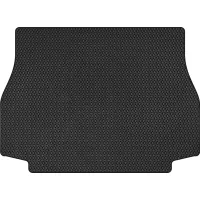 Mat in the trunk EVAtech BMW X5 (E53) 1999_2003 1 pc SUV EU (BM323B1RBB)