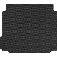 Mat in the trunk EVAtech BMW X5 (E70) 2006_2013 2 pcs SUV EU (BM325B1RBB)