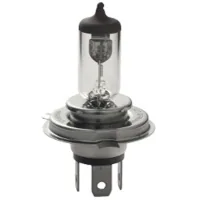 Car lamp SCT-GERMANY H4 Basic 24V 75/70W P43t (202167)